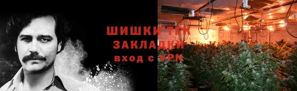 дурь Лабытнанги