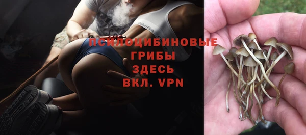 mdpv Лагань