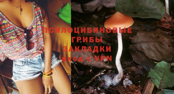 mdpv Ладушкин