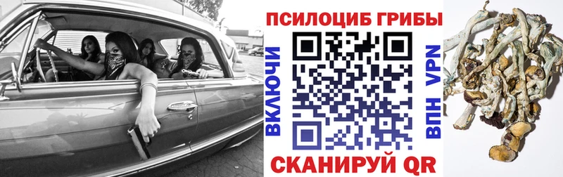 Купить закладки Фокино Псилоцибиновые грибы GOLDEN TEACHER
