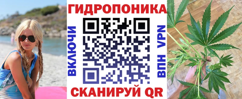 Купить где  Фокино  Бошки Шишки THC 21% 